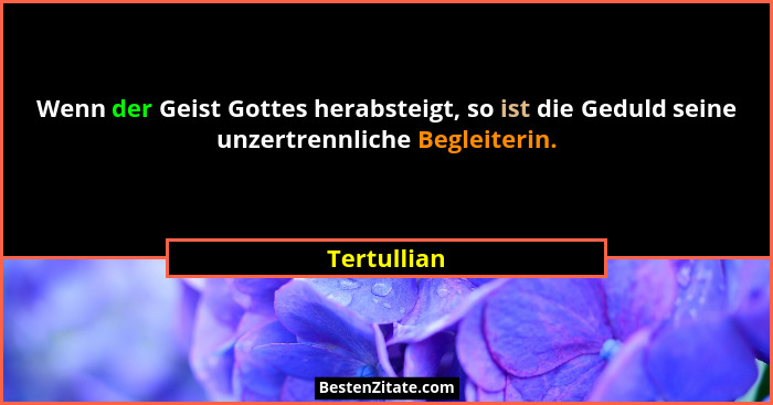 Wenn der Geist Gottes herabsteigt, so ist die Geduld seine unzertrennliche Begleiterin.... - Tertullian