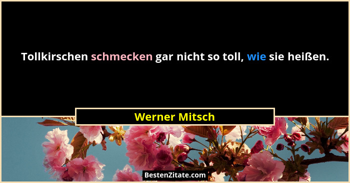 Tollkirschen schmecken gar nicht so toll, wie sie heißen.... - Werner Mitsch