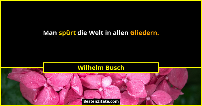 Man spürt die Welt in allen Gliedern.... - Wilhelm Busch