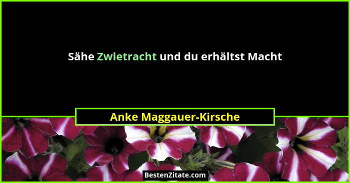 Sähe Zwietracht und du erhältst Macht... - Anke Maggauer-Kirsche