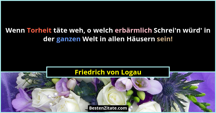 Wenn Torheit täte weh, o welch erbärmlich Schrei'n würd' in der ganzen Welt in allen Häusern sein!... - Friedrich von Logau