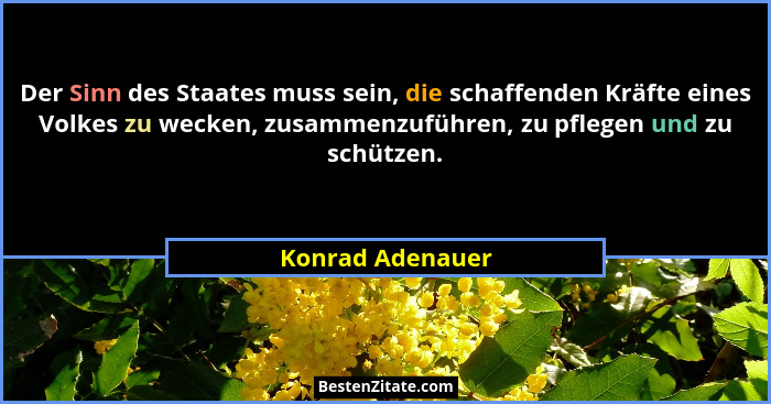 Der Sinn des Staates muss sein, die schaffenden Kräfte eines Volkes zu wecken, zusammenzuführen, zu pflegen und zu schützen.... - Konrad Adenauer