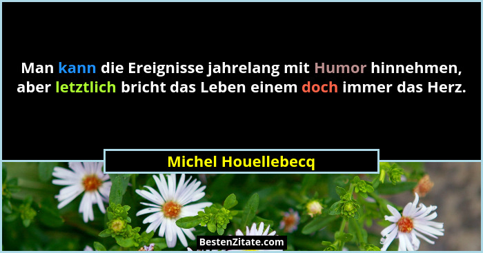 Man kann die Ereignisse jahrelang mit Humor hinnehmen, aber letztlich bricht das Leben einem doch immer das Herz.... - Michel Houellebecq