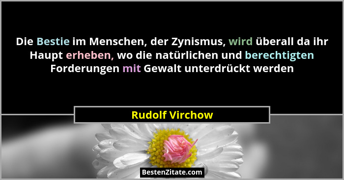 Die Bestie im Menschen, der Zynismus, wird überall da ihr Haupt erheben, wo die natürlichen und berechtigten Forderungen mit Gewalt u... - Rudolf Virchow