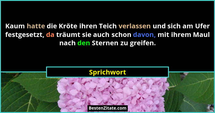 Kaum hatte die Kröte ihren Teich verlassen und sich am Ufer festgesetzt, da träumt sie auch schon davon, mit ihrem Maul nach den Sternen... - Sprichwort