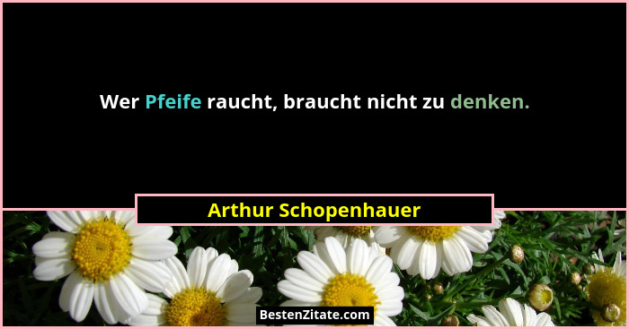 Wer Pfeife raucht, braucht nicht zu denken.... - Arthur Schopenhauer