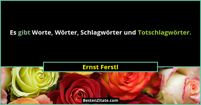 Es gibt Worte, Wörter, Schlagwörter und Totschlagwörter.... - Ernst Ferstl