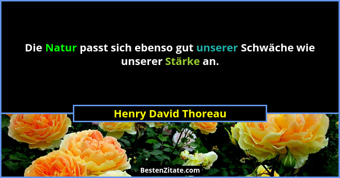 Die Natur passt sich ebenso gut unserer Schwäche wie unserer Stärke an.... - Henry David Thoreau