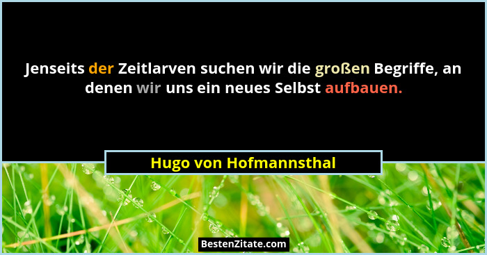 Jenseits der Zeitlarven suchen wir die großen Begriffe, an denen wir uns ein neues Selbst aufbauen.... - Hugo von Hofmannsthal