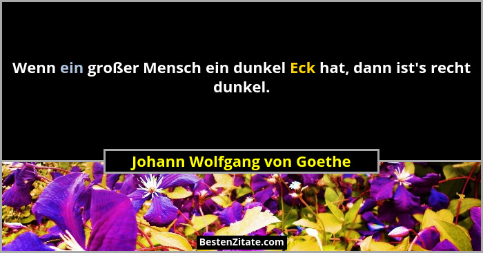Wenn ein großer Mensch ein dunkel Eck hat, dann ist's recht dunkel.... - Johann Wolfgang von Goethe