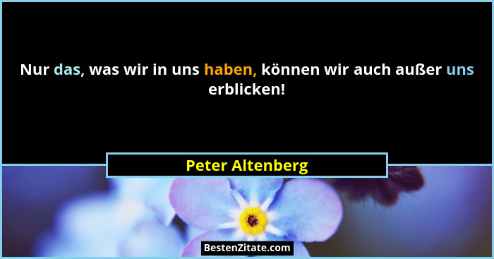 Nur das, was wir in uns haben, können wir auch außer uns erblicken!... - Peter Altenberg