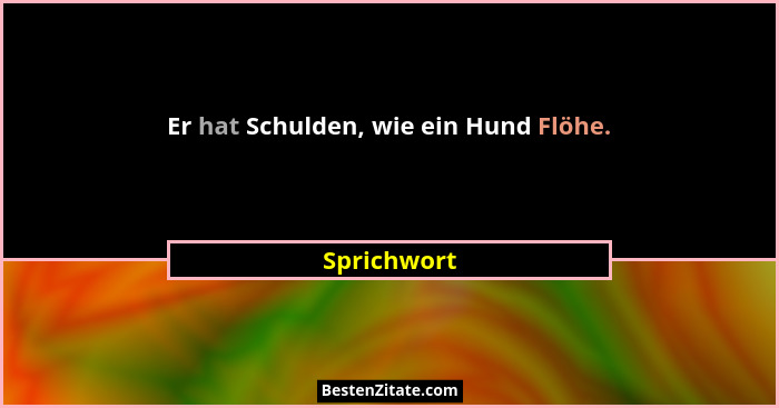 Er hat Schulden, wie ein Hund Flöhe.... - Sprichwort