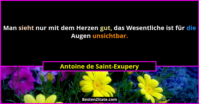 Man sieht nur mit dem Herzen gut, das Wesentliche ist für die Augen unsichtbar.... - Antoine de Saint-Exupery