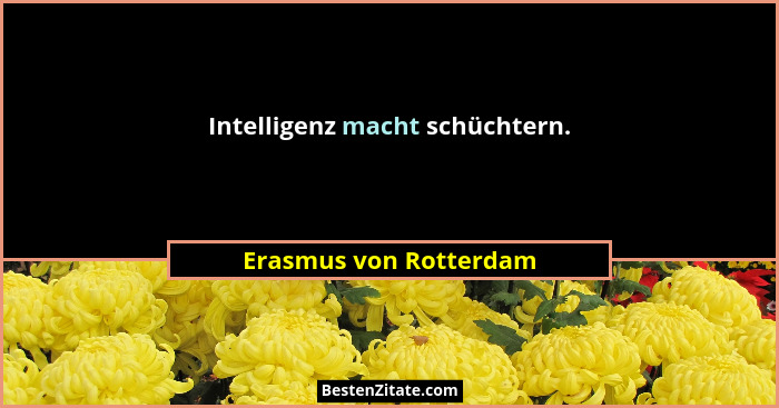 Intelligenz macht schüchtern.... - Erasmus von Rotterdam