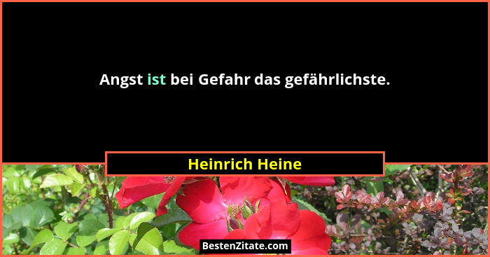 Angst ist bei Gefahr das gefährlichste.... - Heinrich Heine