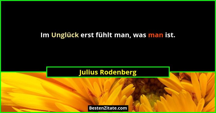 Im Unglück erst fühlt man, was man ist.... - Julius Rodenberg