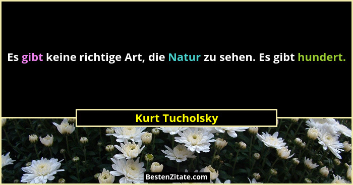 Es gibt keine richtige Art, die Natur zu sehen. Es gibt hundert.... - Kurt Tucholsky