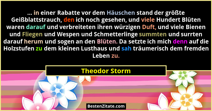 ... in einer Rabatte vor dem Häuschen stand der größte Geißblattstrauch, den ich noch gesehen, und viele Hundert Blüten waren darauf u... - Theodor Storm