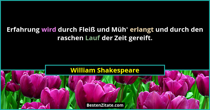 Erfahrung wird durch Fleiß und Müh' erlangt und durch den raschen Lauf der Zeit gereift.... - William Shakespeare