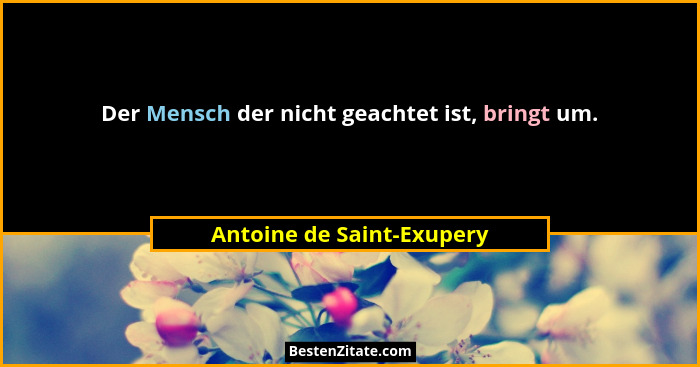 Der Mensch der nicht geachtet ist, bringt um.... - Antoine de Saint-Exupery