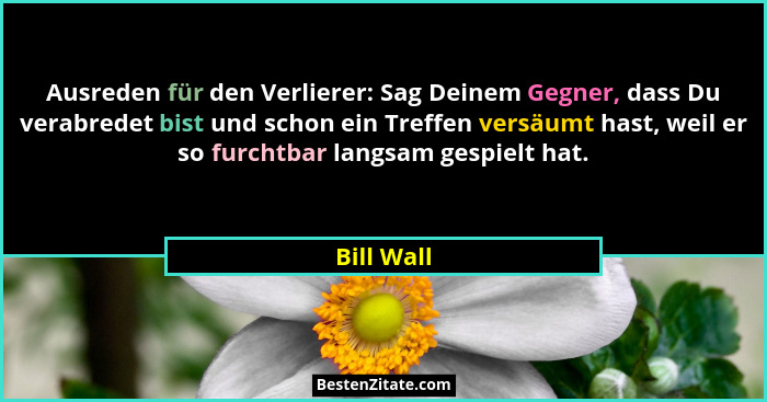 Ausreden für den Verlierer: Sag Deinem Gegner, dass Du verabredet bist und schon ein Treffen versäumt hast, weil er so furchtbar langsam g... - Bill Wall