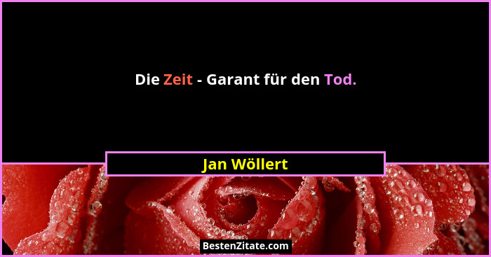 Die Zeit - Garant für den Tod.... - Jan Wöllert