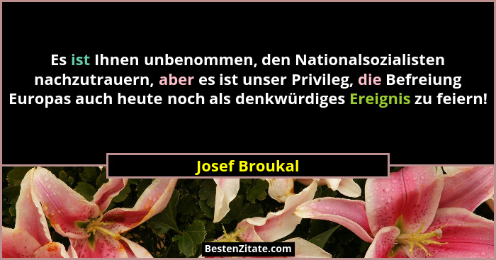 Es ist Ihnen unbenommen, den Nationalsozialisten nachzutrauern, aber es ist unser Privileg, die Befreiung Europas auch heute noch als... - Josef Broukal