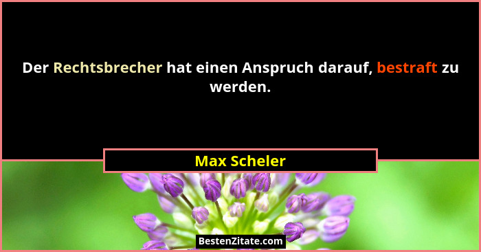 Der Rechtsbrecher hat einen Anspruch darauf, bestraft zu werden.... - Max Scheler