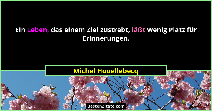 Ein Leben, das einem Ziel zustrebt, läßt wenig Platz für Erinnerungen.... - Michel Houellebecq