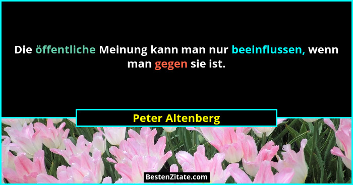 Die öffentliche Meinung kann man nur beeinflussen, wenn man gegen sie ist.... - Peter Altenberg