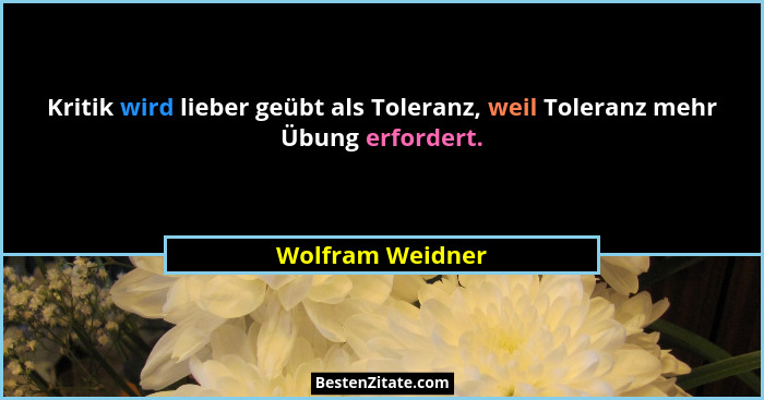 Kritik wird lieber geübt als Toleranz, weil Toleranz mehr Übung erfordert.... - Wolfram Weidner