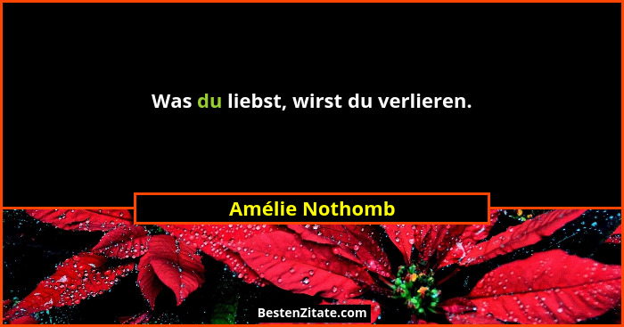 Was du liebst, wirst du verlieren.... - Amélie Nothomb