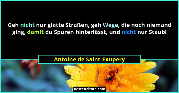 Geh nicht nur glatte Straßen, geh Wege, die noch niemand ging, damit du Spuren hinterlässt, und nicht nur Staub!... - Antoine de Saint-Exupery