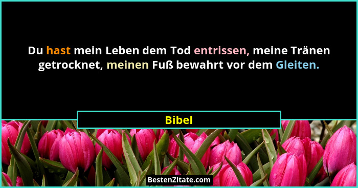 Du hast mein Leben dem Tod entrissen, meine Tränen getrocknet, meinen Fuß bewahrt vor dem Gleiten.... - Bibel