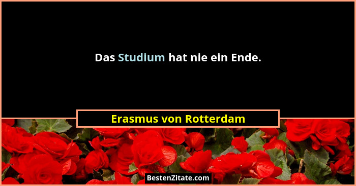 Das Studium hat nie ein Ende.... - Erasmus von Rotterdam