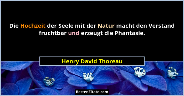 Die Hochzeit der Seele mit der Natur macht den Verstand fruchtbar und erzeugt die Phantasie.... - Henry David Thoreau