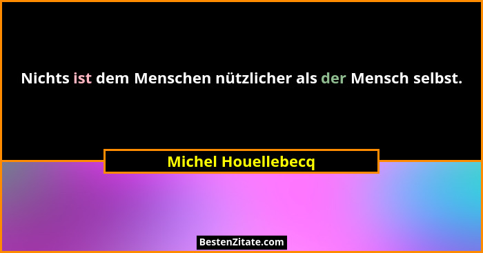 Nichts ist dem Menschen nützlicher als der Mensch selbst.... - Michel Houellebecq