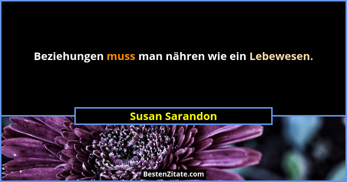 Beziehungen muss man nähren wie ein Lebewesen.... - Susan Sarandon