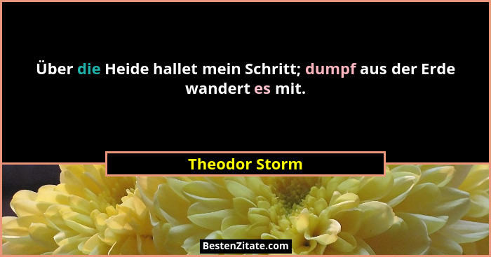Über die Heide hallet mein Schritt; dumpf aus der Erde wandert es mit.... - Theodor Storm