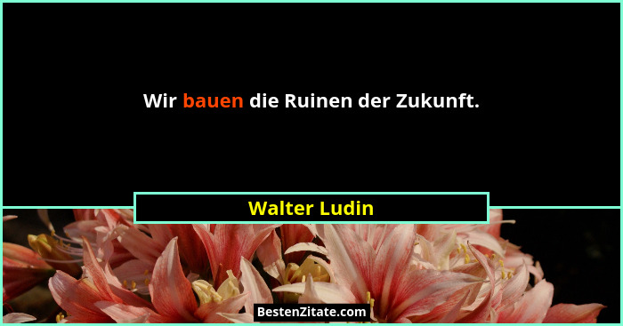 Wir bauen die Ruinen der Zukunft.... - Walter Ludin