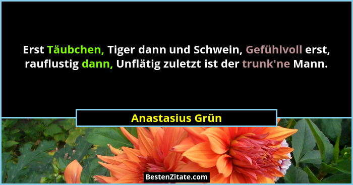 Erst Täubchen, Tiger dann und Schwein, Gefühlvoll erst, rauflustig dann, Unflätig zuletzt ist der trunk'ne Mann.... - Anastasius Grün