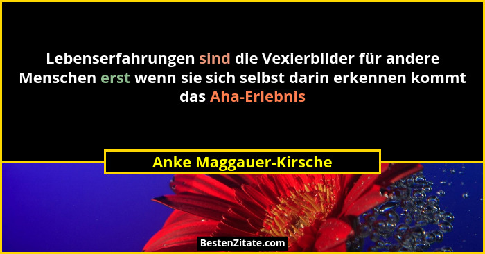 Lebenserfahrungen sind die Vexierbilder für andere Menschen erst wenn sie sich selbst darin erkennen kommt das Aha-Erlebnis... - Anke Maggauer-Kirsche