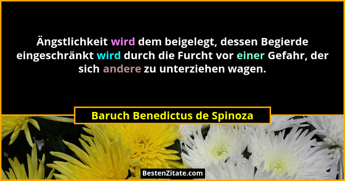 Ängstlichkeit wird dem beigelegt, dessen Begierde eingeschränkt wird durch die Furcht vor einer Gefahr, der sich andere... - Baruch Benedictus de Spinoza