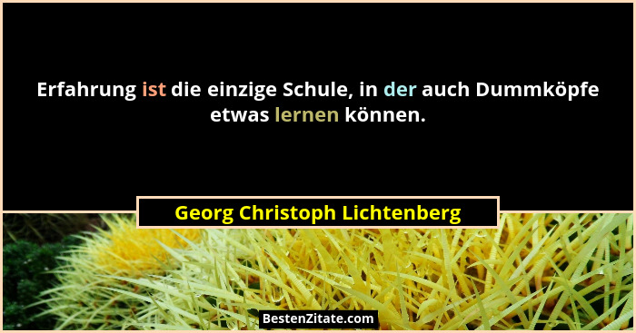 Erfahrung ist die einzige Schule, in der auch Dummköpfe etwas lernen können.... - Georg Christoph Lichtenberg