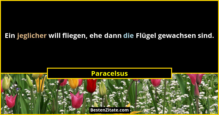 Ein jeglicher will fliegen, ehe dann die Flügel gewachsen sind.... - Paracelsus