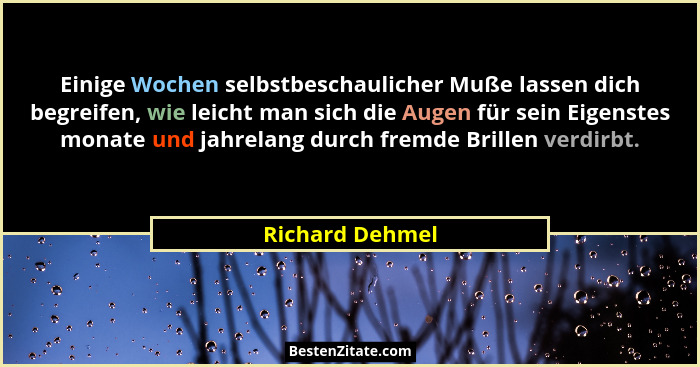 Einige Wochen selbstbeschaulicher Muße lassen dich begreifen, wie leicht man sich die Augen für sein Eigenstes monate und jahrelang d... - Richard Dehmel