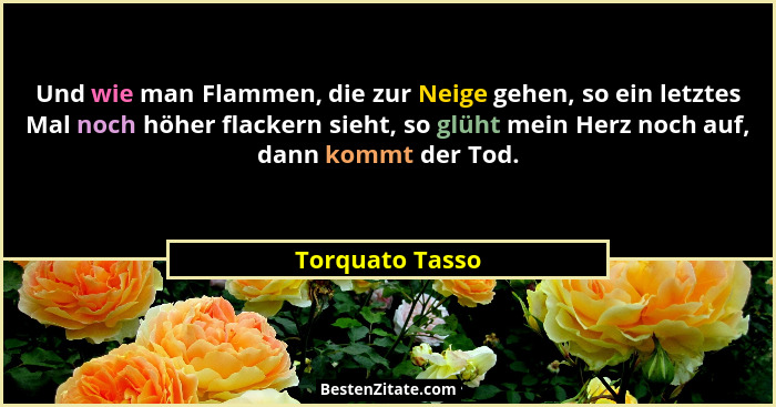 Und wie man Flammen, die zur Neige gehen, so ein letztes Mal noch höher flackern sieht, so glüht mein Herz noch auf, dann kommt der T... - Torquato Tasso