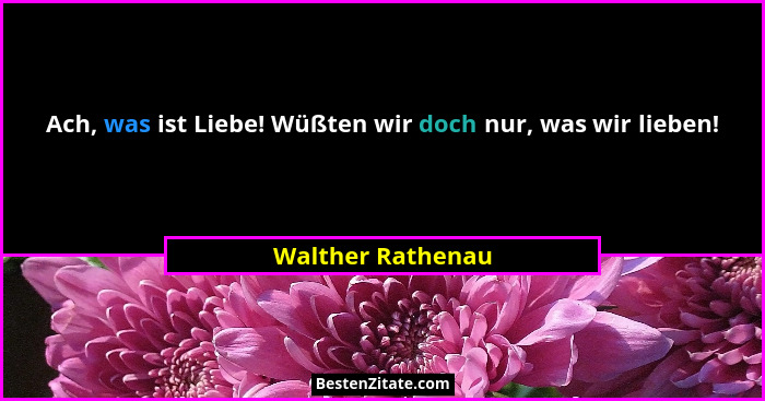 Ach, was ist Liebe! Wüßten wir doch nur, was wir lieben!... - Walther Rathenau