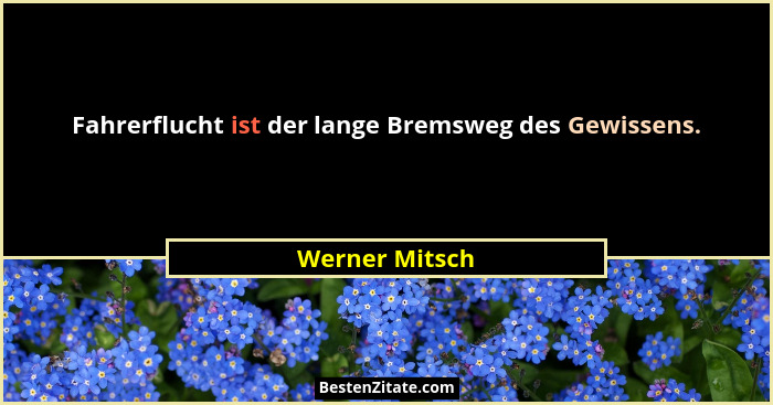Fahrerflucht ist der lange Bremsweg des Gewissens.... - Werner Mitsch
