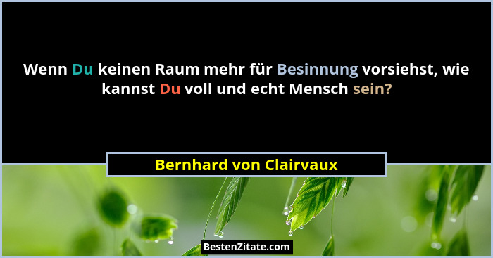 Wenn Du keinen Raum mehr für Besinnung vorsiehst, wie kannst Du voll und echt Mensch sein?... - Bernhard von Clairvaux